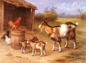  Edgar Pintura - Una escena de corral con cabras y gallinas animales de granja Edgar Hunt